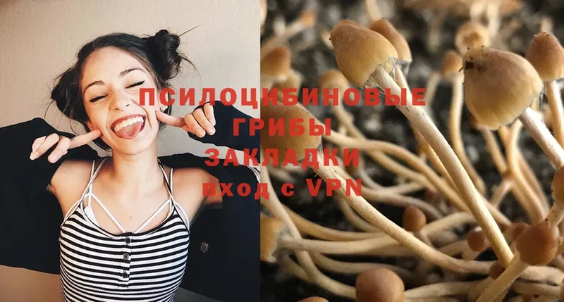 магазин продажи наркотиков  Губаха  KRAKEN как войти  Псилоцибиновые грибы MAGIC MUSHROOMS 